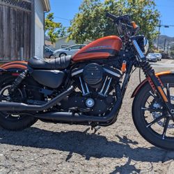 2020 Harley-Davidson XL 883 Sportster Iron Clean Title Motorcycle 
