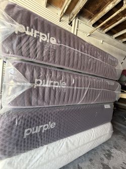New Queen Purple Restore Premier