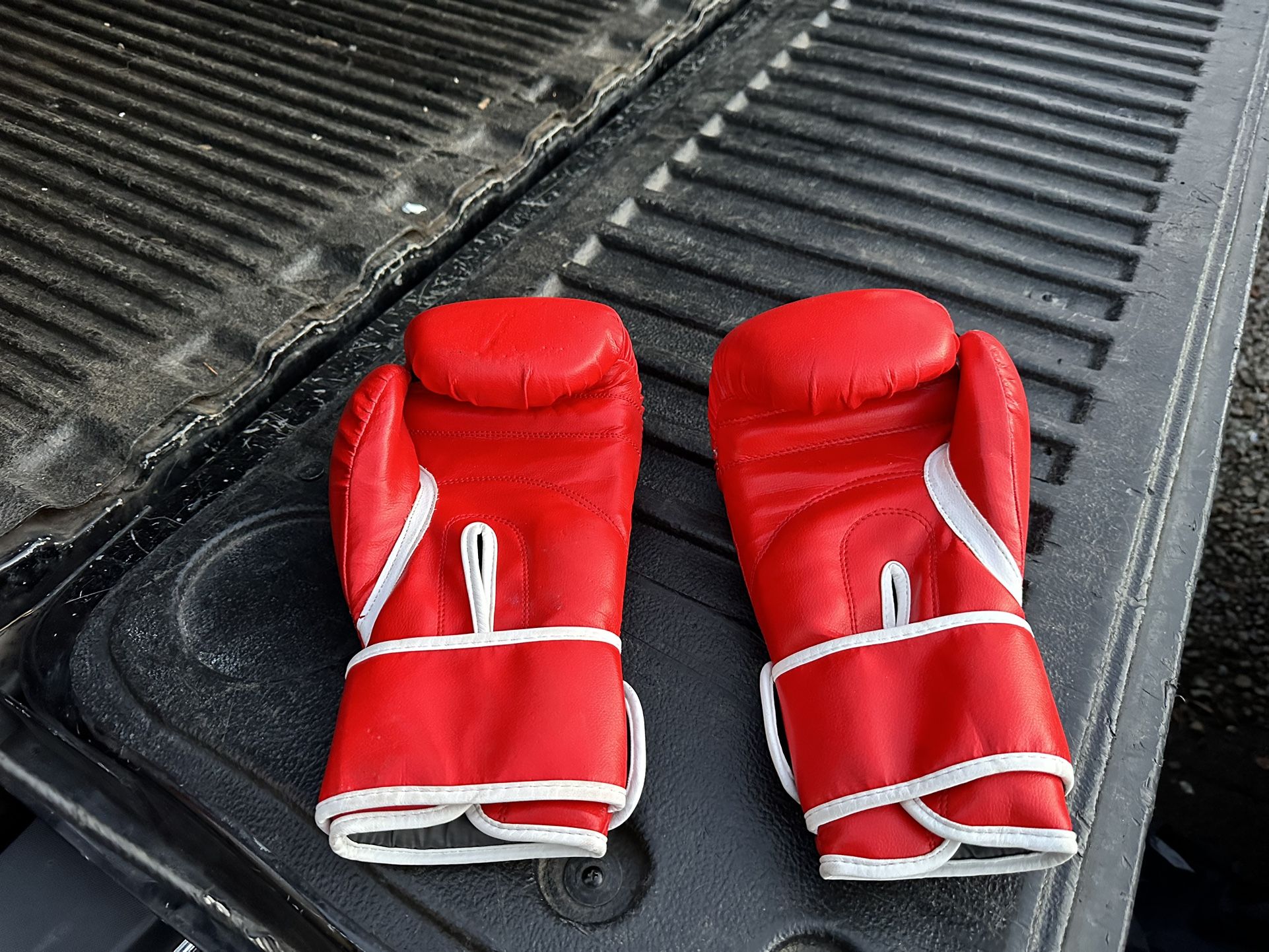 Fila boxing gloves