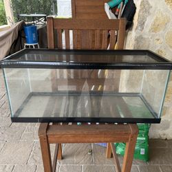 Terrarium With Screen Cover