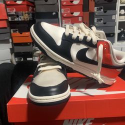  Brand New Nike Dunks 