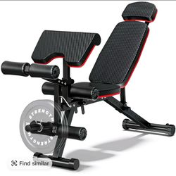 Weight Bench
