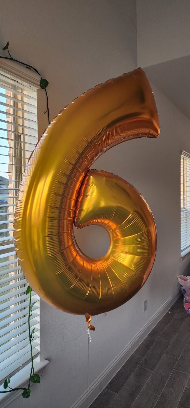 Helium inflated balloon for 6 year birthday 50 inch height