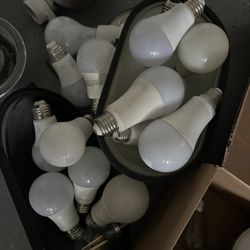 LED Light Bulbs