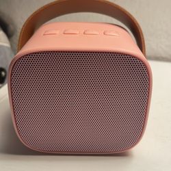 Pink miniature speaker