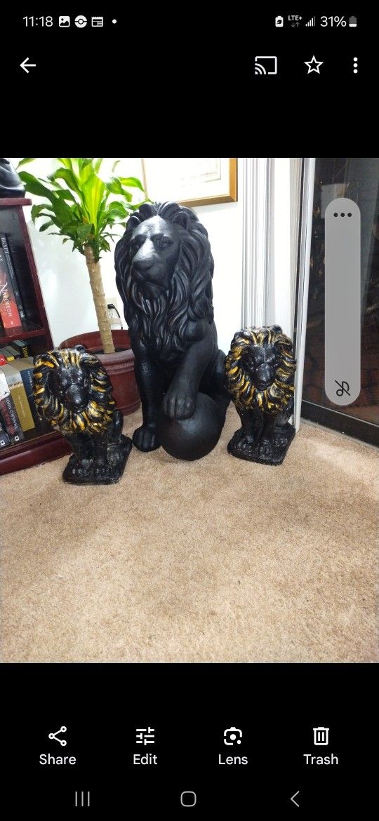 Beautiful Addition For Decor