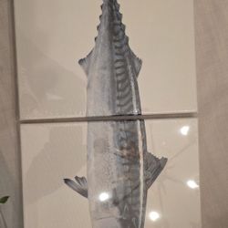 NEW! IKEA Canvas Prints