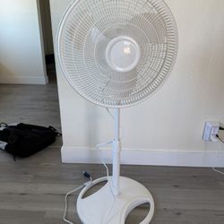 Standing Fan