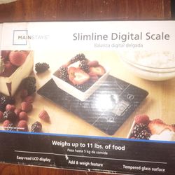 Digital Scale