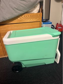 Igloo Cooler