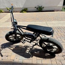 Driven E-bike For Sale
