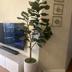 Fake Fiddle Leaf Tree 7'