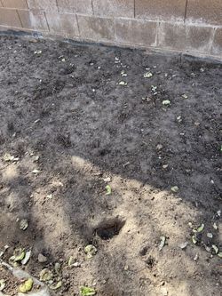 Free. Dirt And Soil