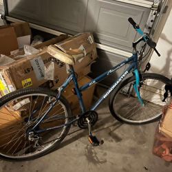 Roadmaster Mountain Bike 