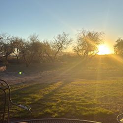 Great Titles For Sale 