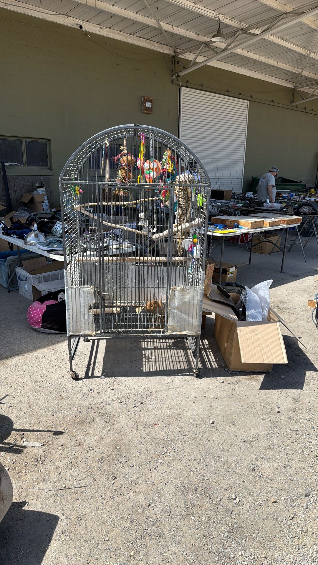 Bird Cage