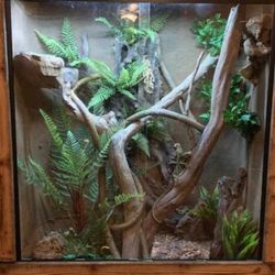 Erotic Wood Decor For Your Terrarium Or Aquariums