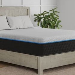 12" Queen Plush Memory Foam Mattress
