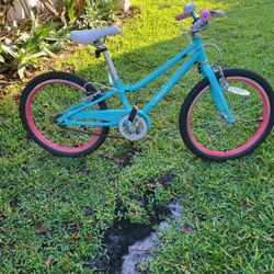 Guardian Bike 