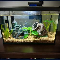 5 Gallon Fish Tank W/ Extras