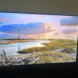 Vizio 50” 