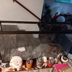 50 Gallon Fish Tank