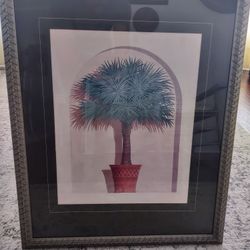 Picture Of Palm Tree planted In Pot