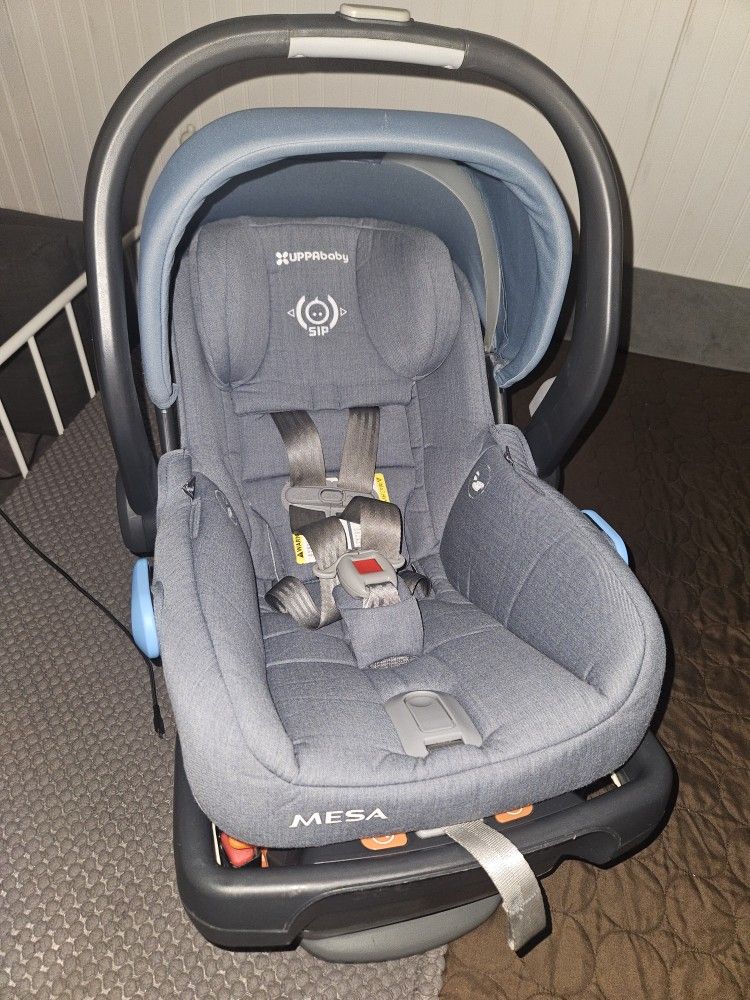 Uppababy Mesa Infant Carseat Clean 