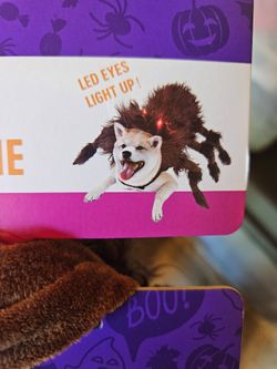 pet costumes