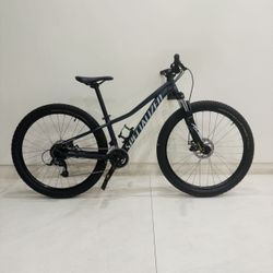 Specialized Mountain Bike