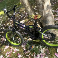 Kids Ninja Turtle Bike