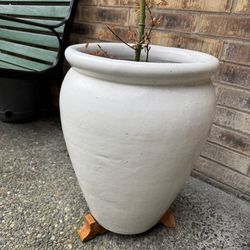 Large Ceramic Plant Pots