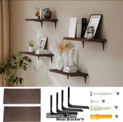 Brown Shelves