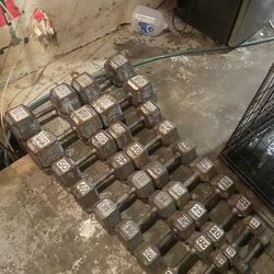 Dumbbells 1 Dollar A Pound 