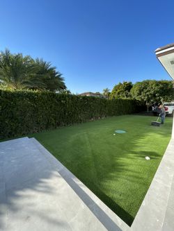 Artificial Grass
