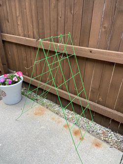 Cucumber Cage- garden