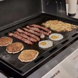Weber Genesis Grill 400 Series Insert