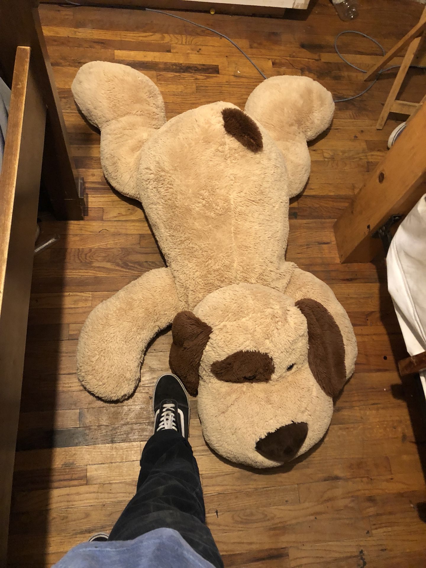 Big Teddy bear (dog) 4 ft