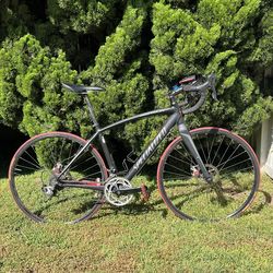 Race Bicycle secteur specialized
