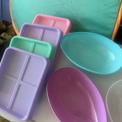 pastel colors egg containers and trays 