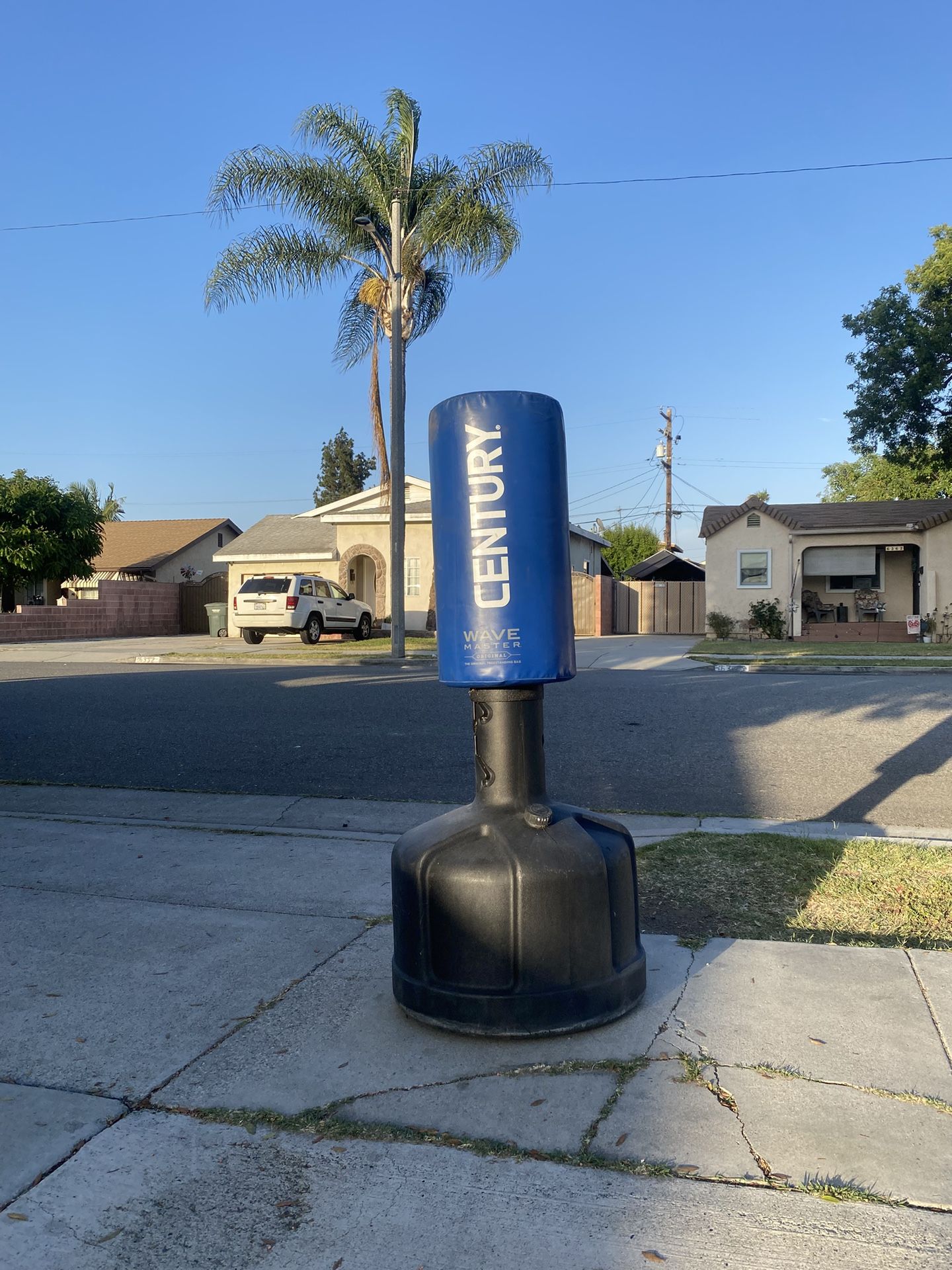 CENTURY WAVEMASTER PUNCHING BAG