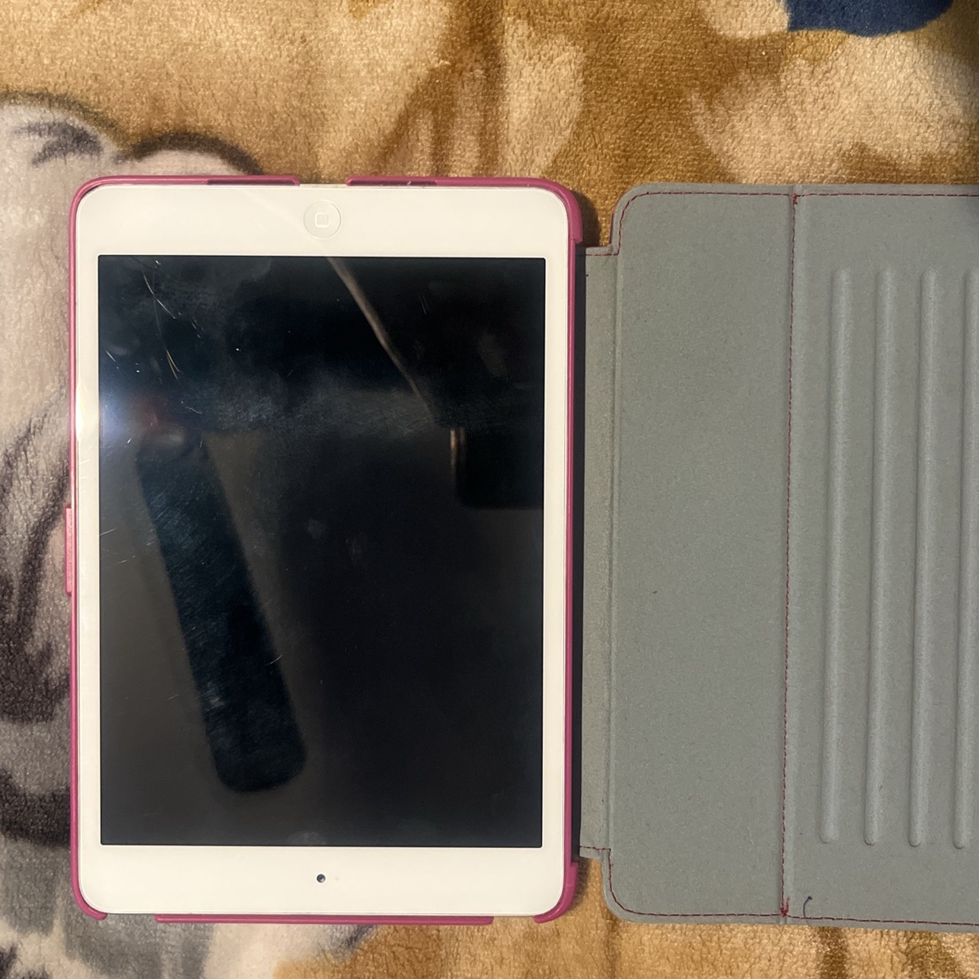 iPad Mini No Cracks No Locks