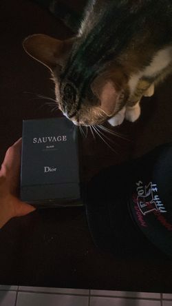 Dior Sauvage Elixir