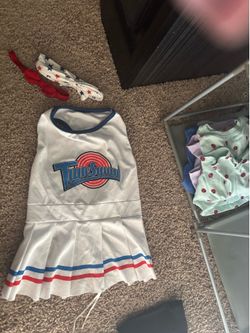 Cute female dog clothes