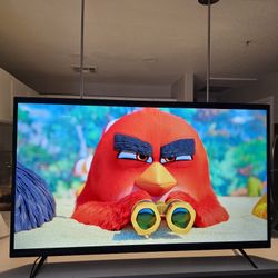 55" Vizio LED Smart TV