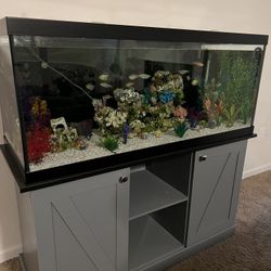 75 Gallon Tank & Stand