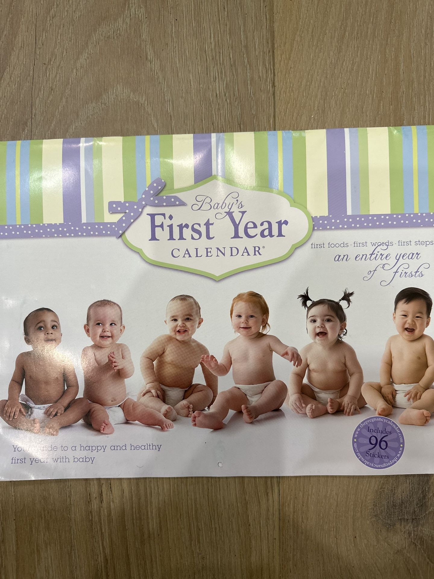 Baby's First Year Calendar