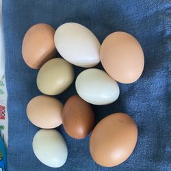 Farm Fresh Eggs