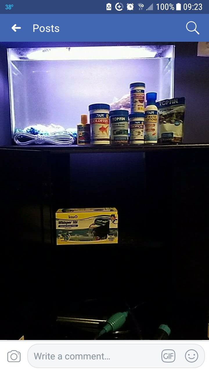 20gal. & all you see in pic