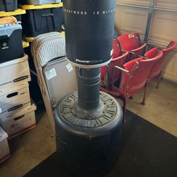 Everlast Punching Bag